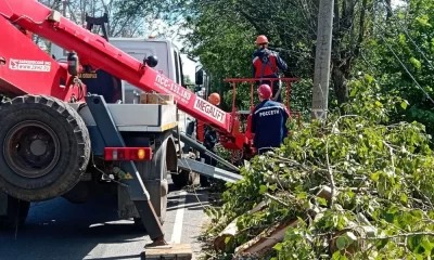 Жители Ярославской области благодарят энергетиков за восстановление электроснабжения после непогоды