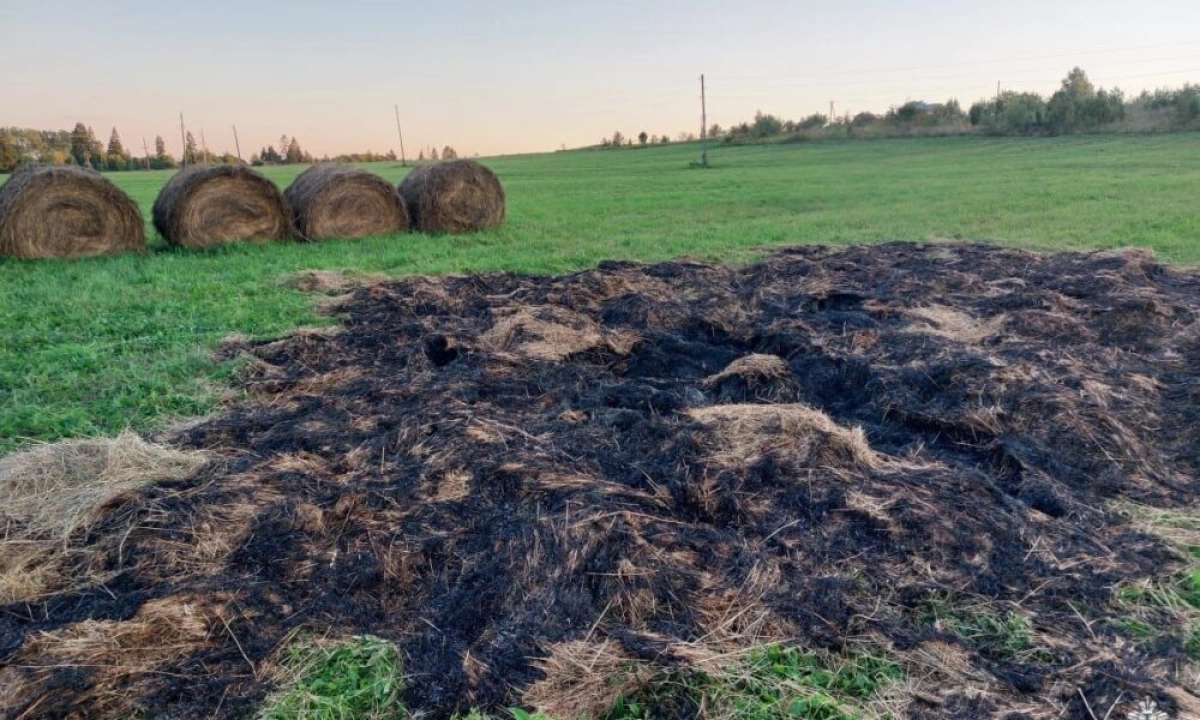 Пожар в Некрасовском округе: подросток поджег сено, ущерб возмещен Пожар в Некрасовском округе: подросток поджег сено, ущерб возмещен