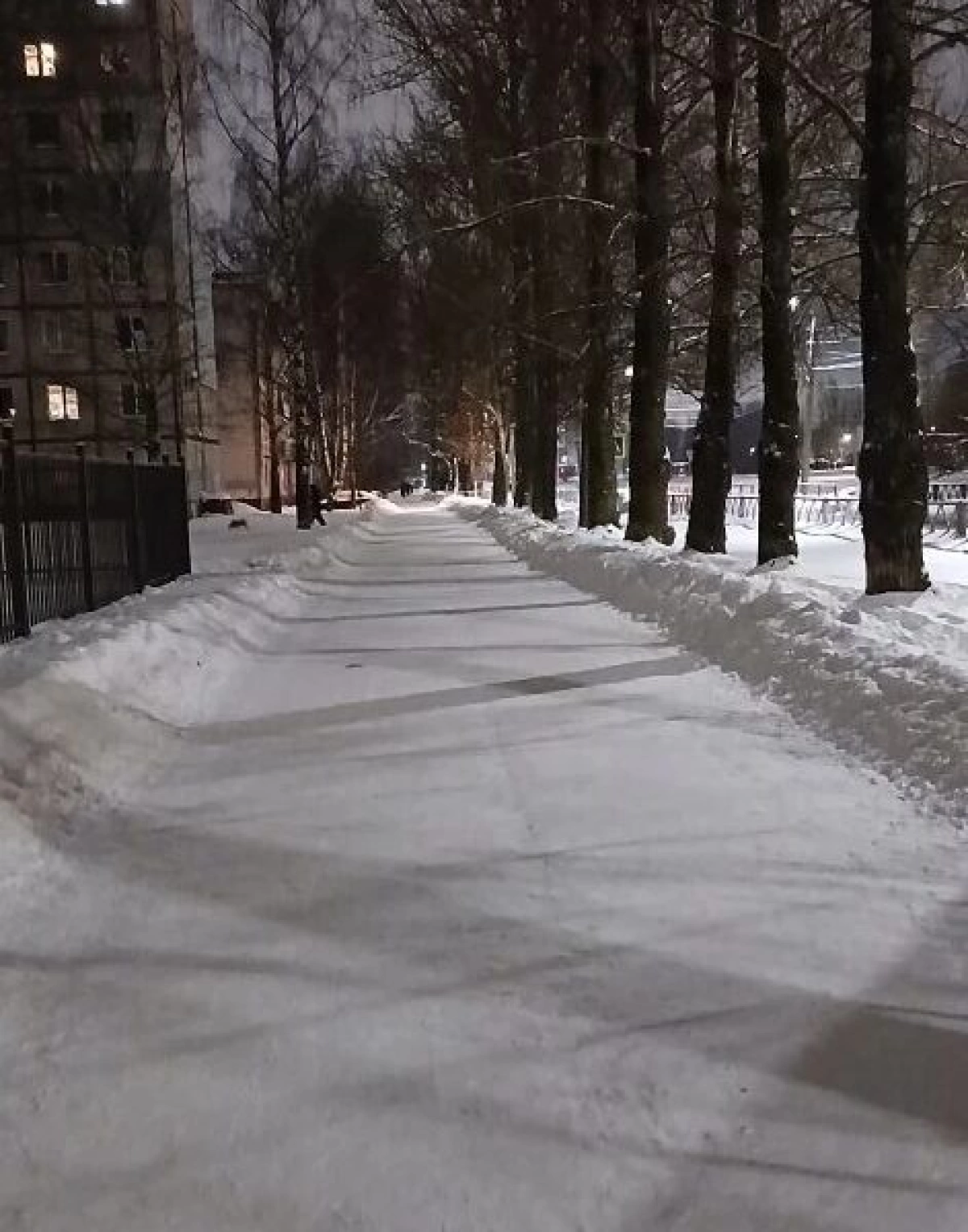 &laquo;Настоящие аллеи&raquo;: в Ярославле брагинцы благодарят за уборку пешеходных дорожек