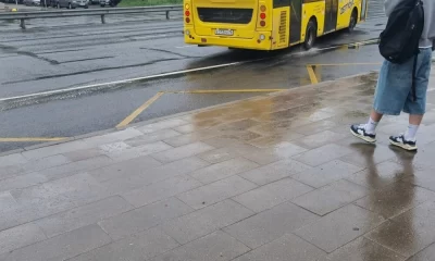 Ярославцы просят наградить водителя автобуса