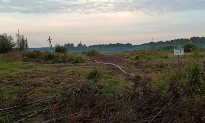 Река Уча загрязнена навозными стоками в Ярославской области