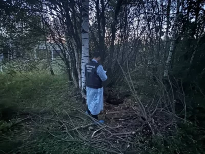 Ярославский суд оставил в силе приговор чиновнице по делу о гибели ребенка в колодце