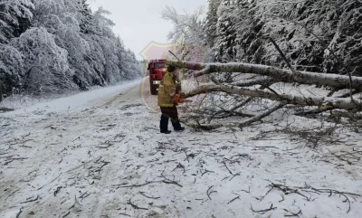 В Ярославской области спасатели помогли &laquo;Скорой&raquo; добраться до больного