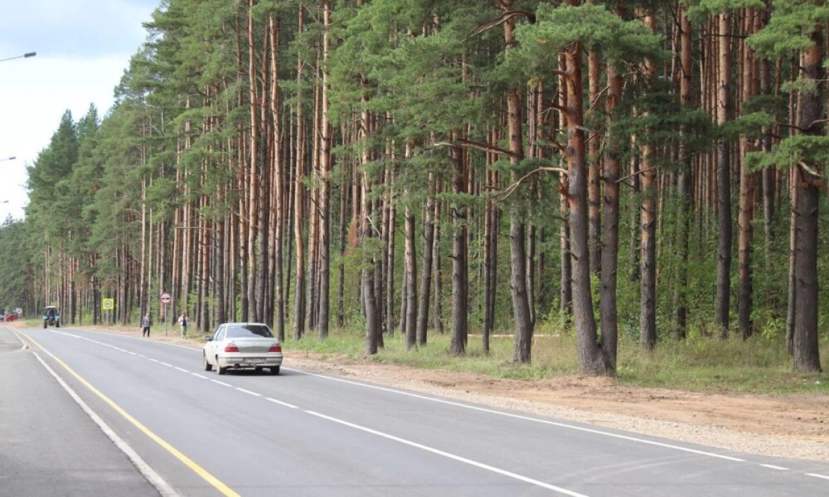 Сохранили сосны и отремонтировали дорогу в Ярославской области Сохранили сосны и отремонтировали дорогу в Ярославской области