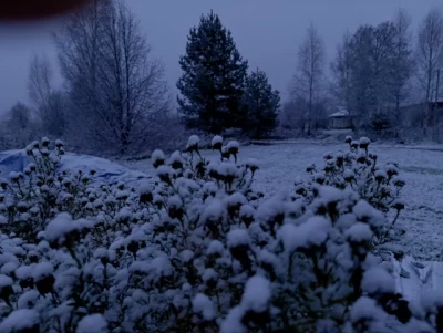 В Ярославской области выпал первый снег