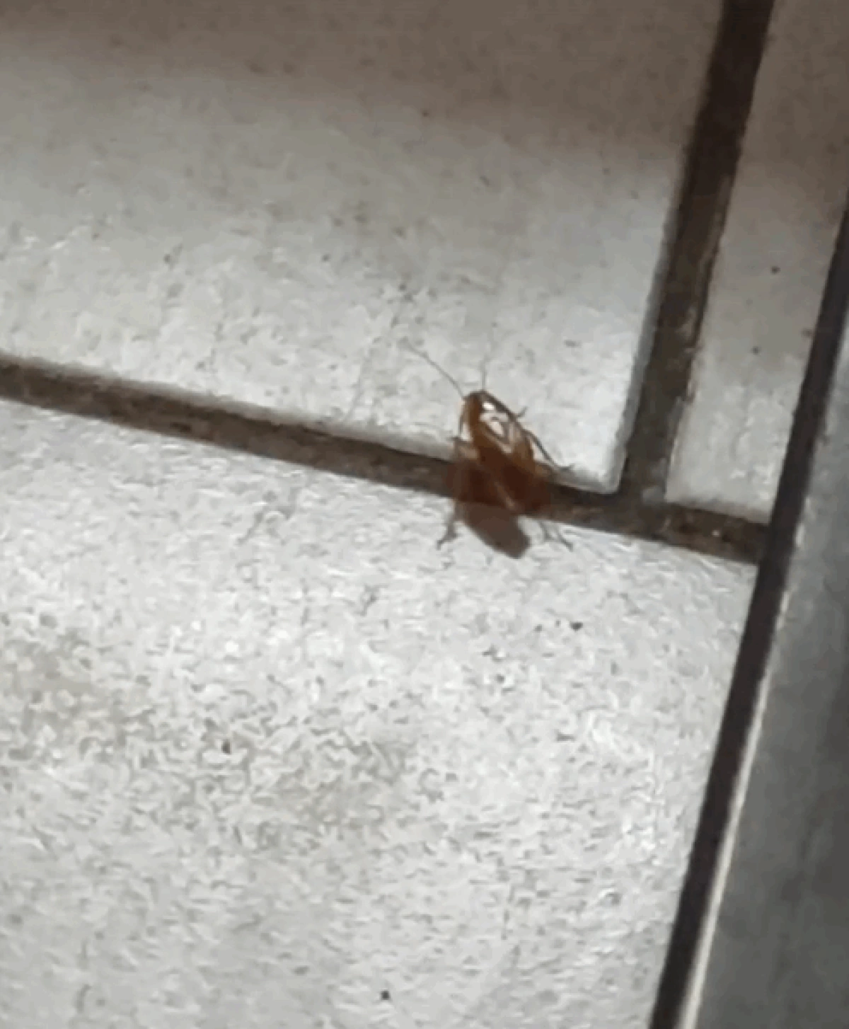 Суд обязал ярославну убрать квартиру-свалку Суд обязал ярославну убрать квартиру-свалку