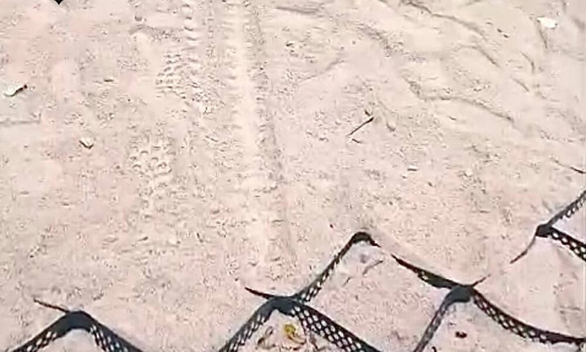 Власти просят ярославцев не мешать благоустройству Петропавловского парка