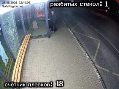 18 плевков и разбитая &laquo;Яостановка&raquo;: родителям юных вандалов предъявят счет
