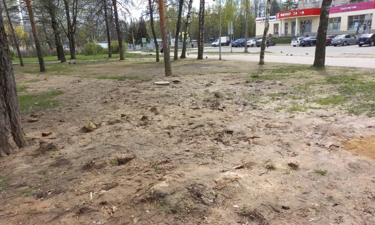 Мэрия Ярославля поставила на просушку парк 30-летия Победы Мэрия Ярославля поставила на просушку парк 30-летия Победы