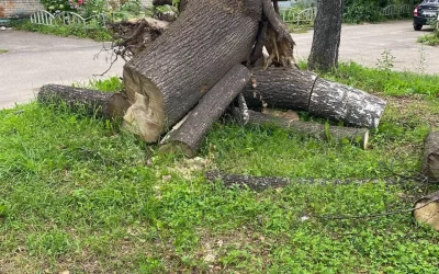 Ураган в Ярославле: жители Лесных полян жалуются на последствия