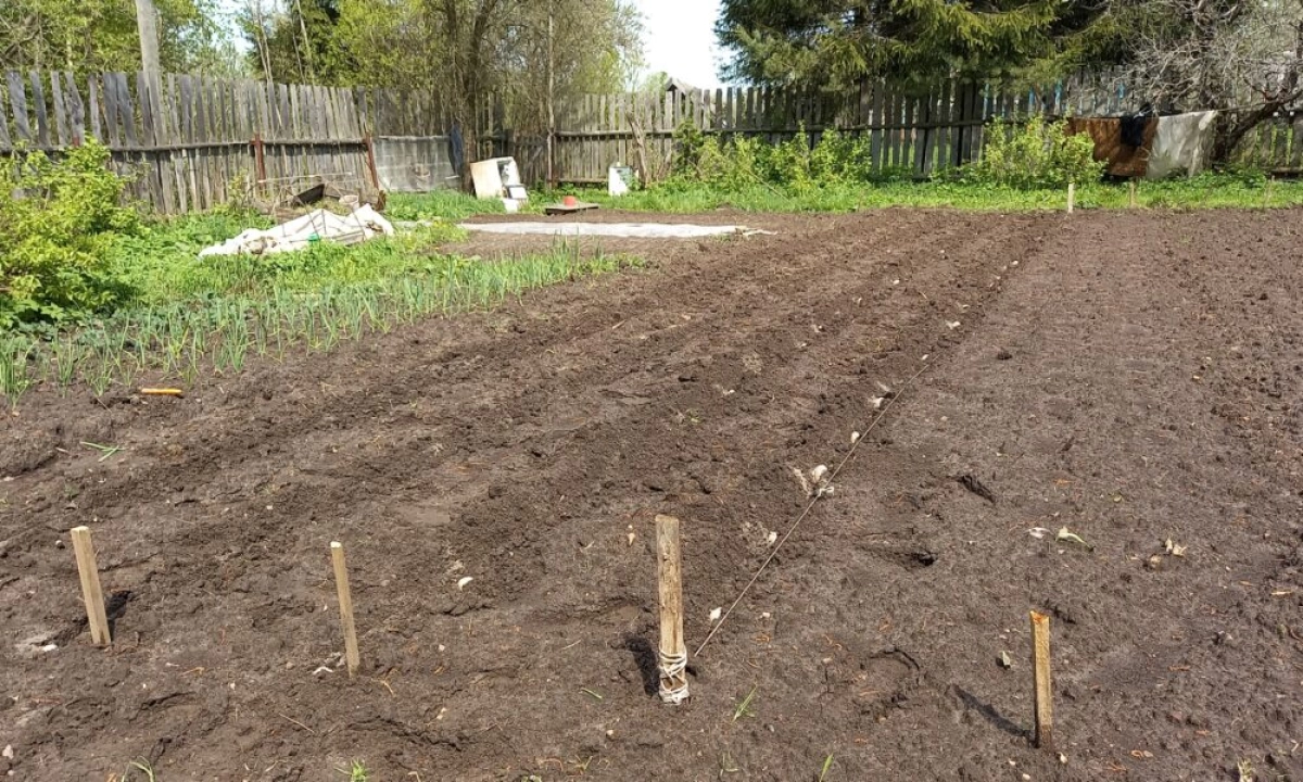 У 90-летней ярославны из пенсии списали налог за несуществующую землю