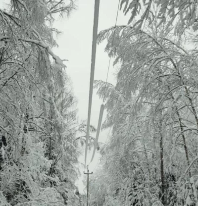 Ярославские энергетики контролируют работу электросетей в условиях непогоды