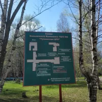 ГБУЗ ЯО "Тутаевская ЦРБ"