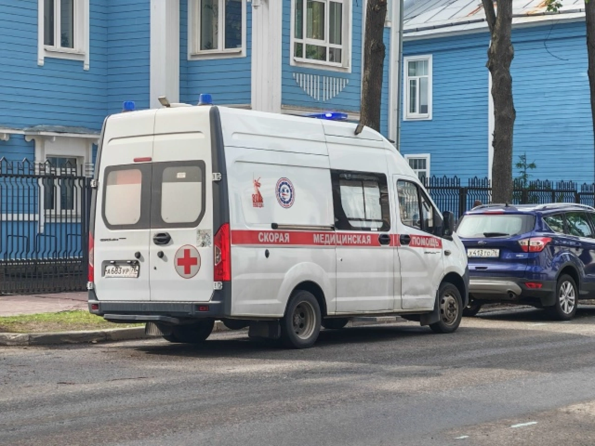 В Ярославской области трехлетний ребенок госпитализирован после нападения собаки &nbsp;&nbsp;&nbsp;
