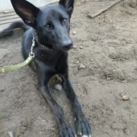 Право на жизнь