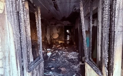 Спасены человек и две собаки: в Ярославле хлам в подъезде многоэтажки привел к пожару