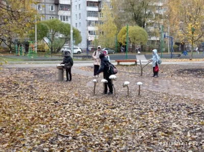 В Ярославле глюкофон и поющая грибница лишились молоточков