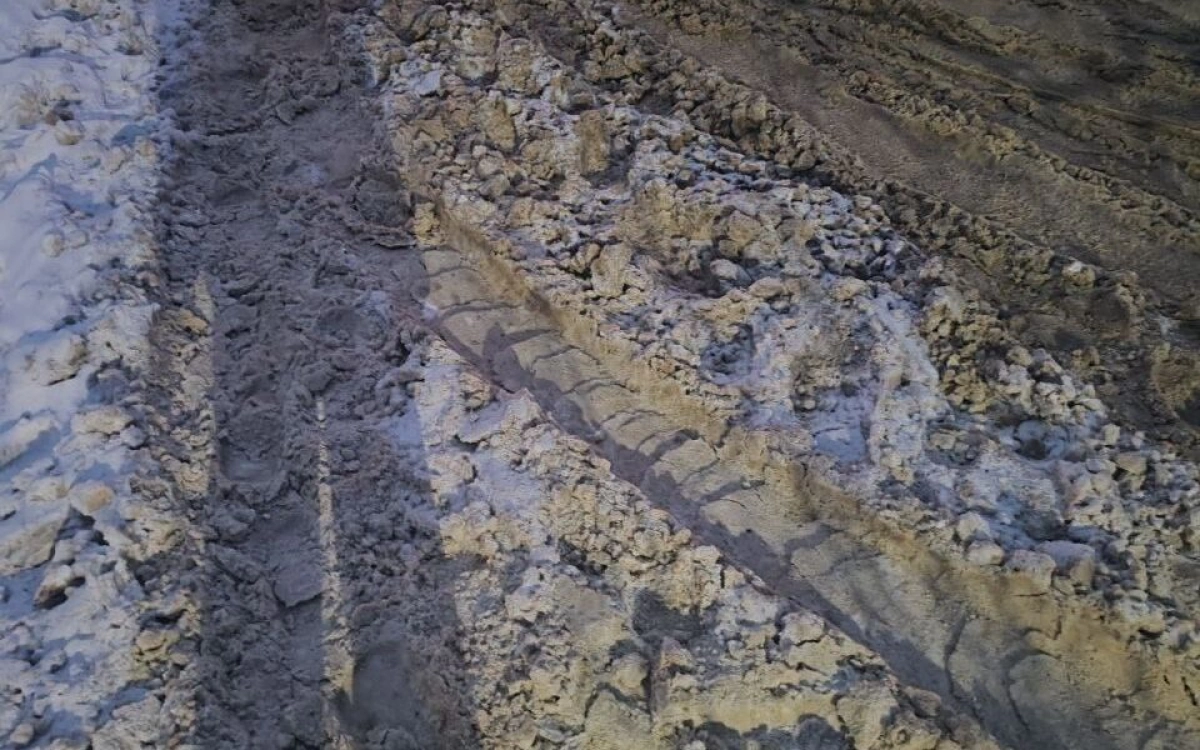 В Ярославле после вмешательства прокуратуры расчистили дорогу к детсаду