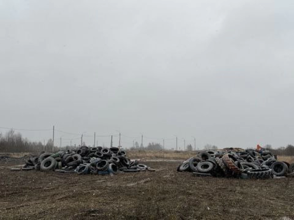 В Ярославской области чиновник оштрафован за свалку автомобильных шин