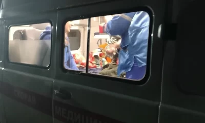 Волонтеры нашли пропавшего грибника в Ярославской области