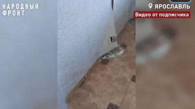 В Ярославле выделенное сироте жильё в корпусах на Перекопе захватила плесень