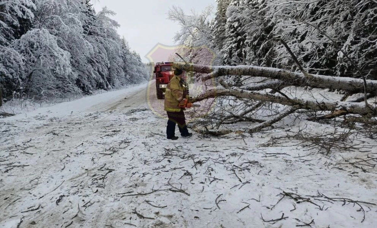 В Ярославской области спасатели помогли &laquo;Скорой&raquo; добраться до больного