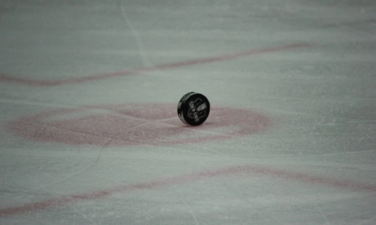 Почему московское «Динамо» без шансов вылетело из плей-офф? Почему московское «Динамо» без шансов вылетело из плей-офф?