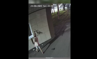 Вандал задержан после повреждения фасада библиотеки в центре города