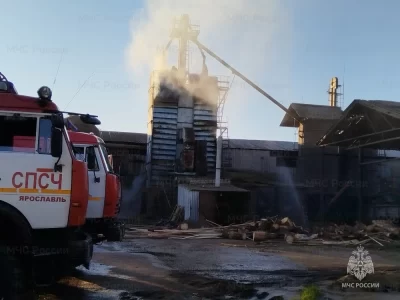 Под Ярославлем сгорели пятнадцать тонн овса