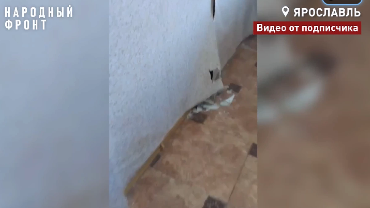 В Ярославле выделенное сироте жильё в корпусах на Перекопе захватила плесень