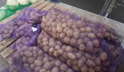 Превышение нитратов в картофеле в Ярославской области