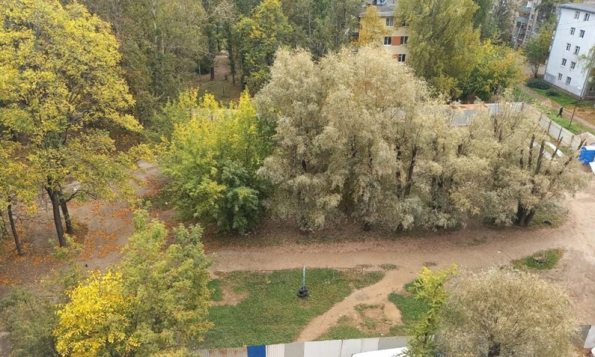 В Ярославле брагинцы не смогли отстоять свои дворы от точечной застройки