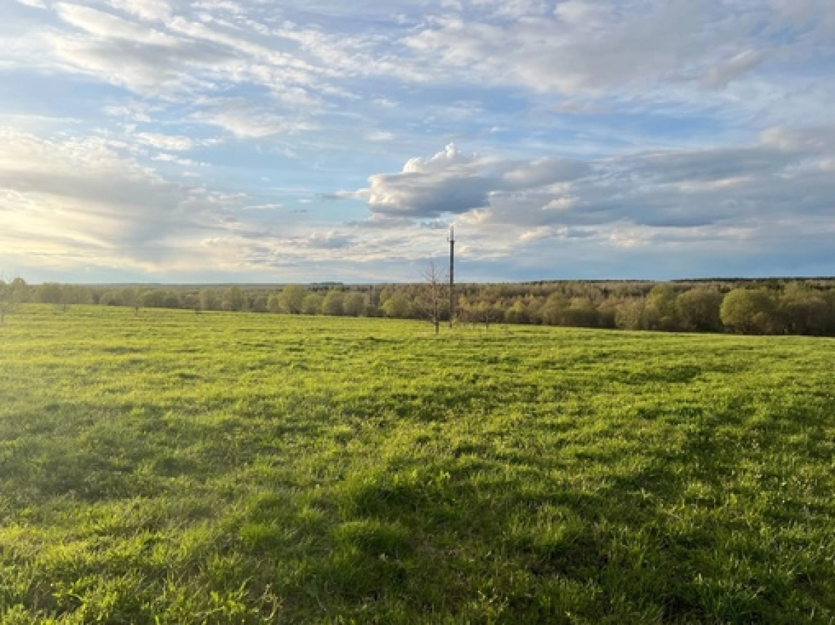 В Ярославской области прокуратура добилась возврата незаконно полученной земли