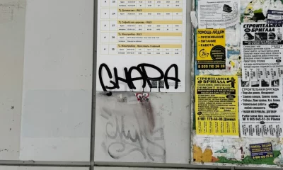 В Ярославле жители Пятерки требуют найти и наказать наглую &laquo;Чапу&raquo;