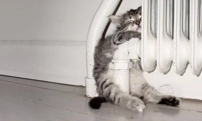 В Ярославской области начинают отопительный сезон