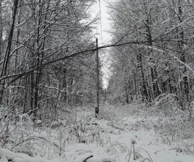 Энергетики &laquo;Ярэнерго&raquo; оперативно устраняют последствия непогоды