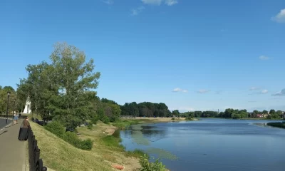 В Ярославле в парке &laquo;Подзеленье&raquo; спилят погибшие вязы и ясени