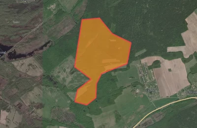 Медведи выходят к жителям: опасность в районе Ларино