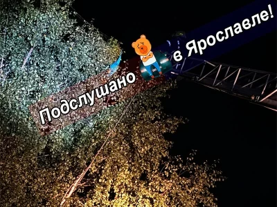 В Ярославле сбежавший из зоопарка попугай ара перелетел Волгу
