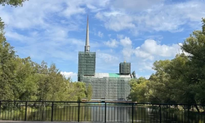 В Петропавловском парке Ярославля могут появиться детские площадки