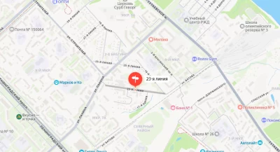 В Ярославле охотнадзор пытается выселить лося из брагинского микрорайона