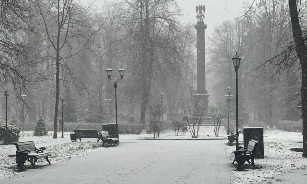 В Ярославль пришли снегопады и метели