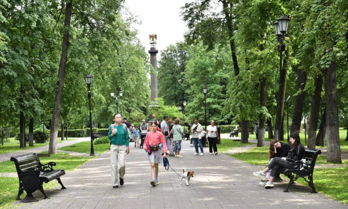 Полученные от оптимизации налоговых льгот доходы бюджета направят на развитие региона