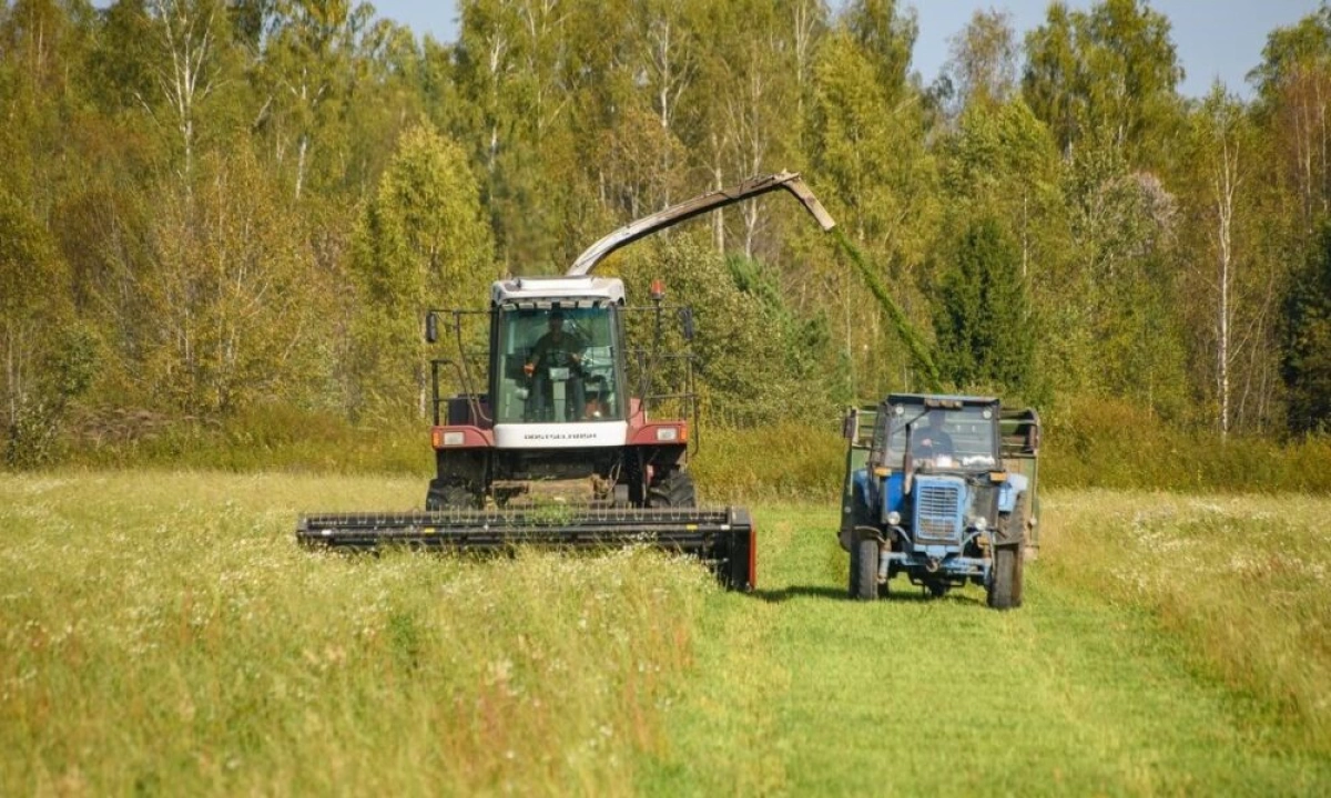 В Ярославской области сообщили о хорошем урожае зерновых культур