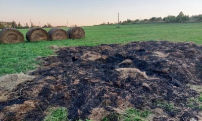 Пожар в Некрасовском округе: подросток поджег сено, ущерб возмещен