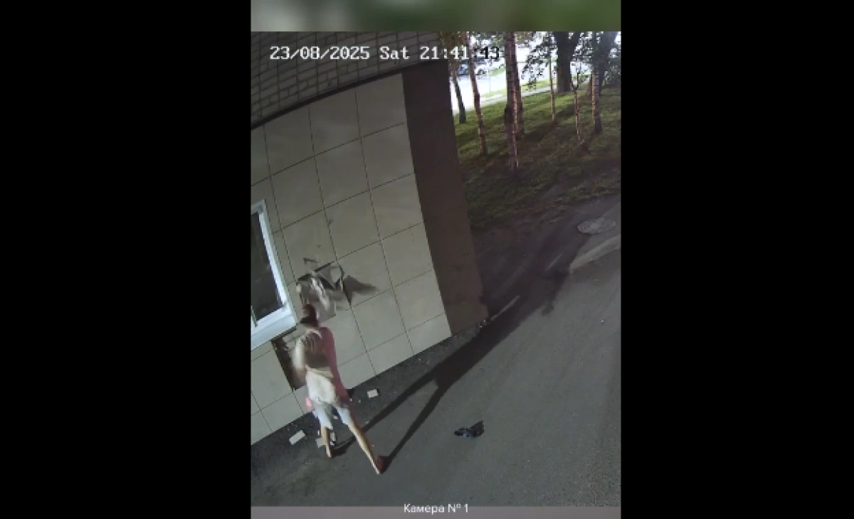 Вандал задержан после повреждения фасада библиотеки в центре города Вандал задержан после повреждения фасада библиотеки в центре города