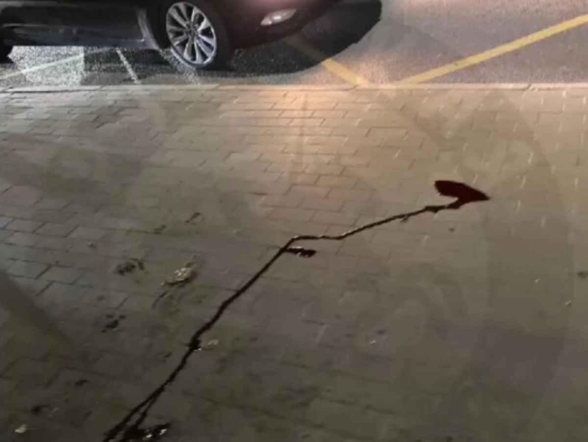 В Ярославле избили пассажира автобуса, сканирующего QR-код