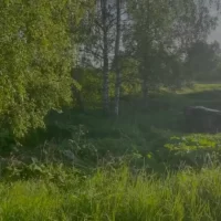 В Ярославской области погиб водитель вылетевшей в кювет легковушки