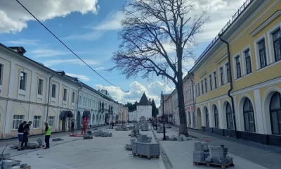 В новом пешеходном центре Ярославля оставят засохший вяз