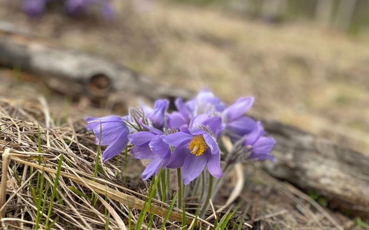 Ярославль встречает метеорологическую весну